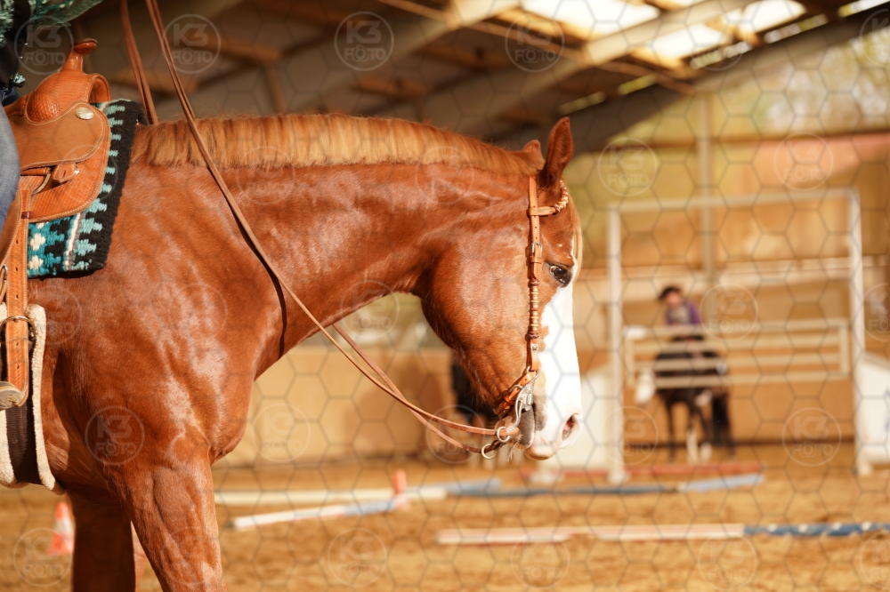 s_A9_01606.jpg